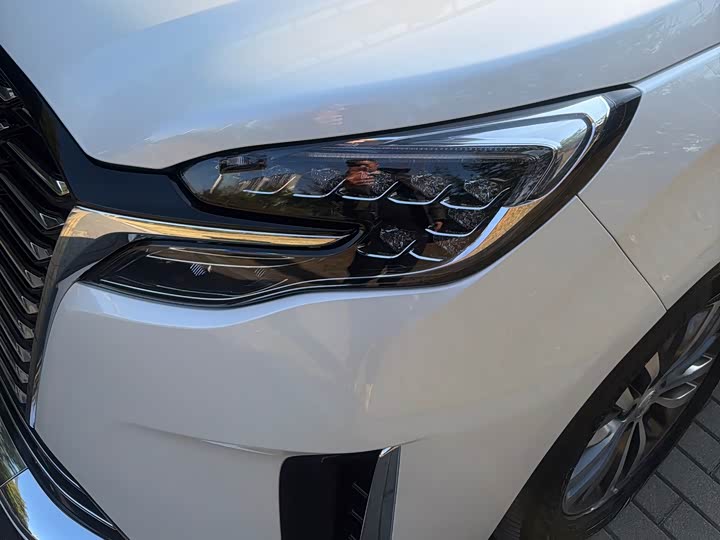 Фото 5 - Buick GL8 ES