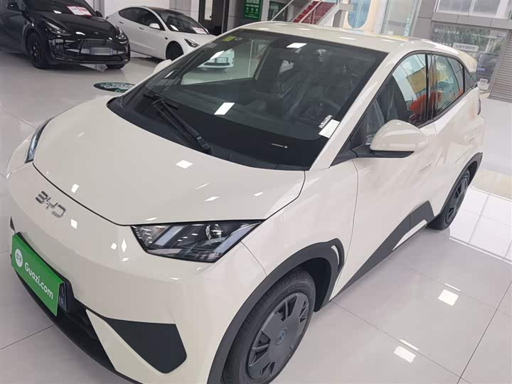 Фото 2 - BYD Seagull