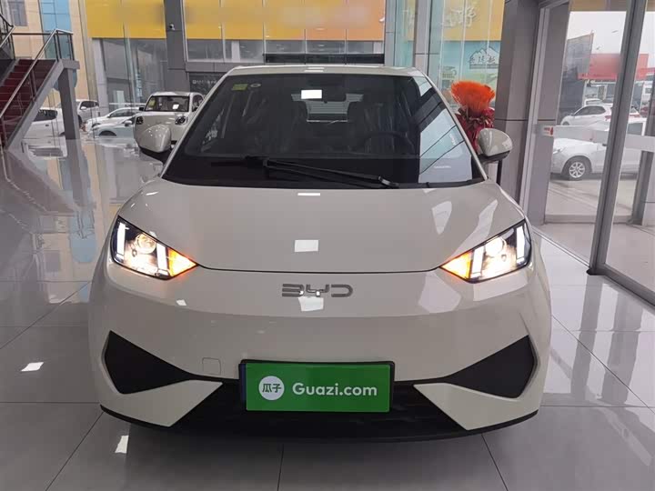 Фото 3 - BYD Seagull