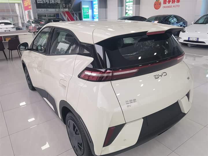 Фото 5 - BYD Seagull