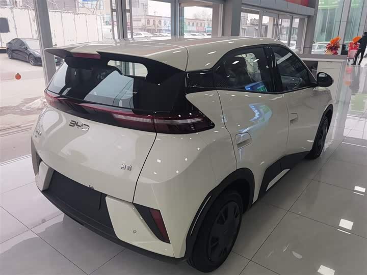 Фото 7 - BYD Seagull