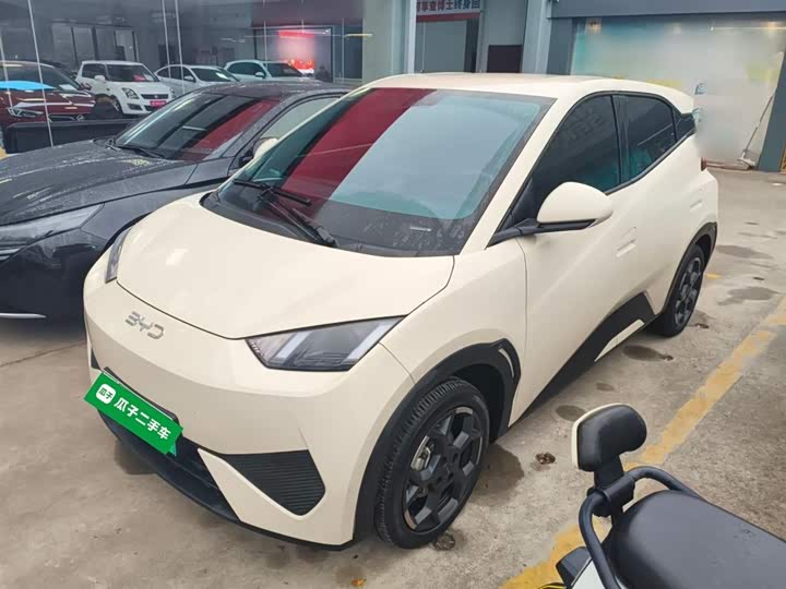 Фото 1 - BYD Seagull