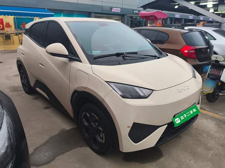 Фото 4 - BYD Seagull