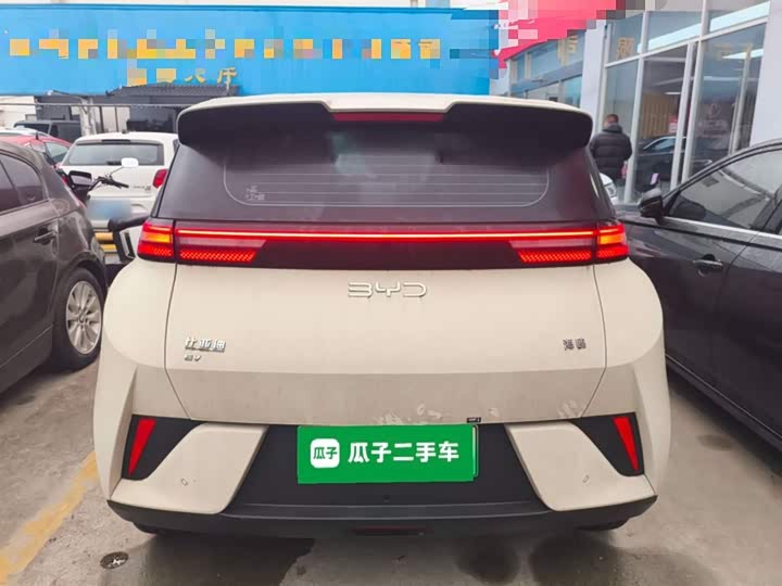 Фото 6 - BYD Seagull