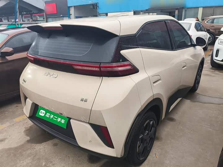 Фото 7 - BYD Seagull