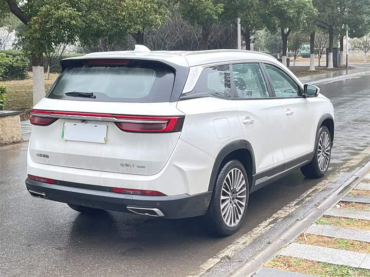 Фото 7 - Jetour Shanhai L9