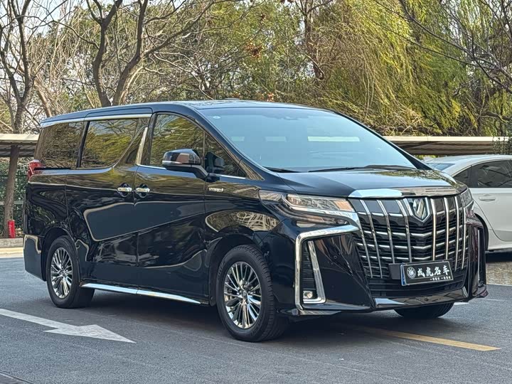 Фото 3 - Toyota Alphard