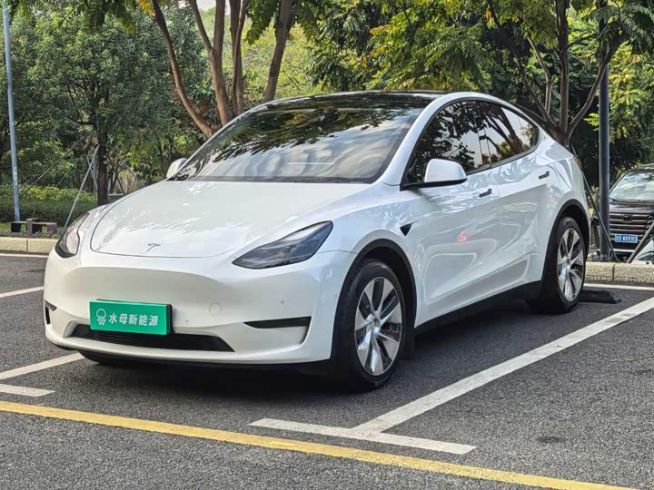 Фото 1 - Tesla Model Y