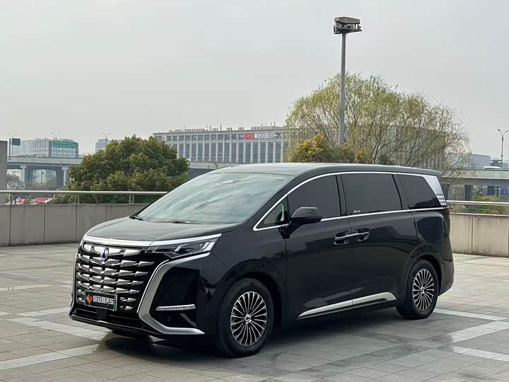 Фото 1 - Denza D9