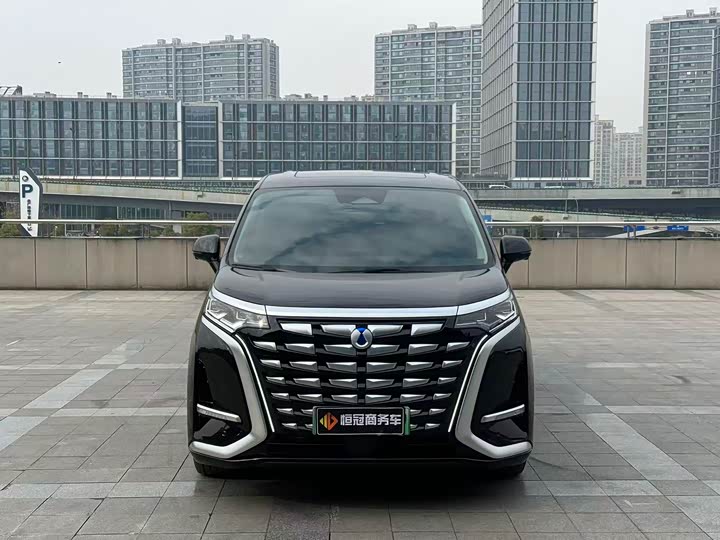 Фото 2 - Denza D9