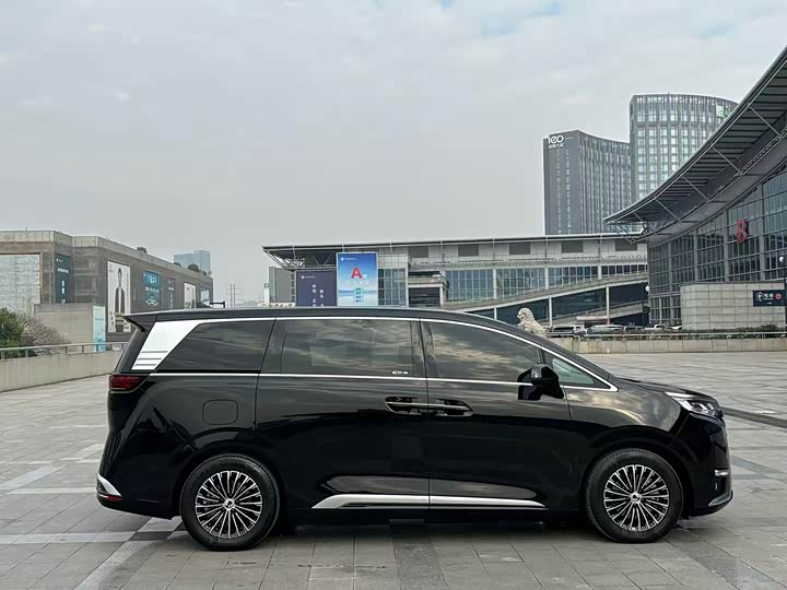 Фото 5 - Denza D9