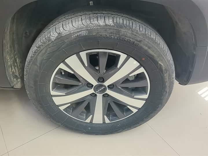 Фото 6 - Haval Dargo