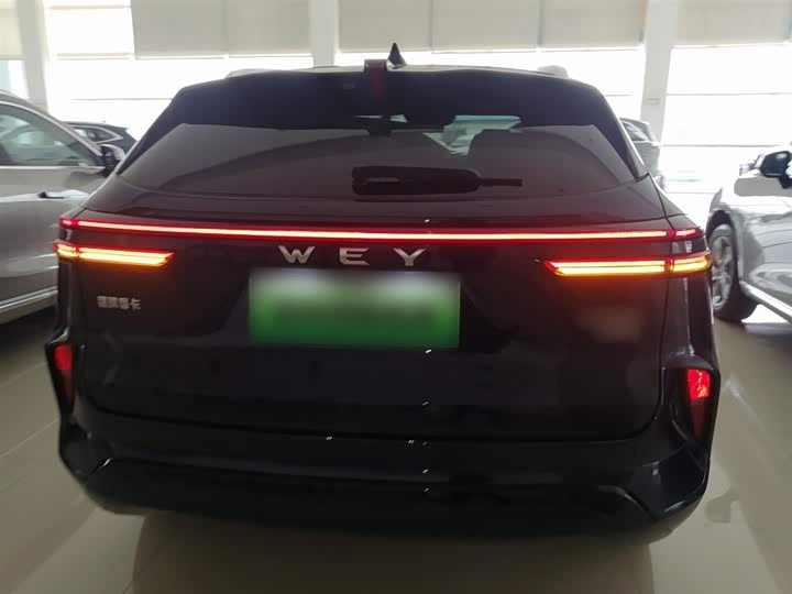 Фото 6 - Wey Mocca Hybrid