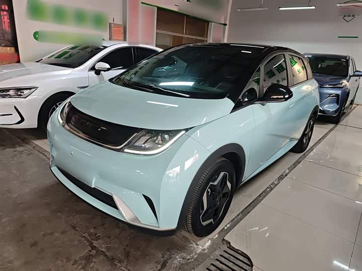 Фото 2 - BYD Dolphin