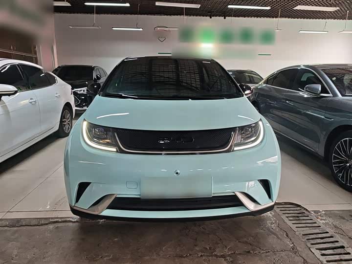 Фото 3 - BYD Dolphin