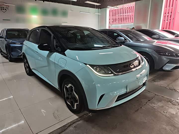 Фото 4 - BYD Dolphin