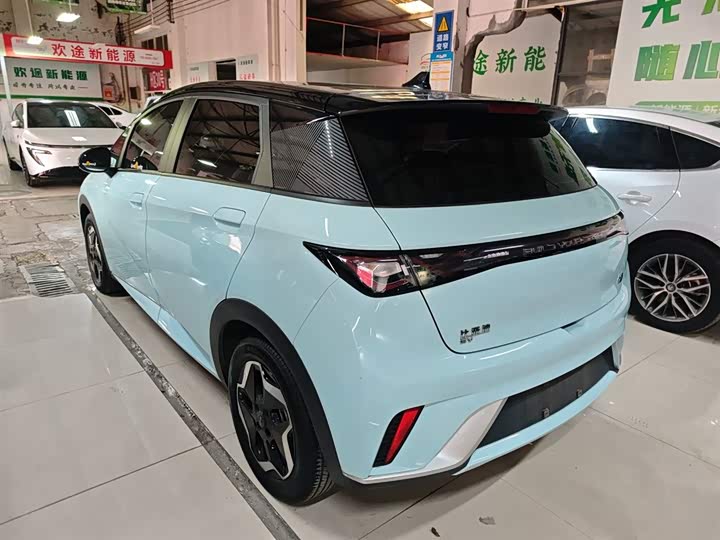 Фото 5 - BYD Dolphin