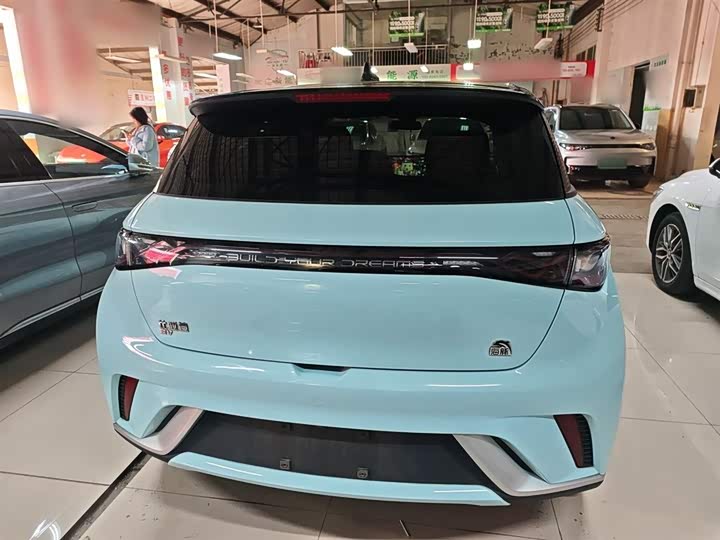 Фото 6 - BYD Dolphin