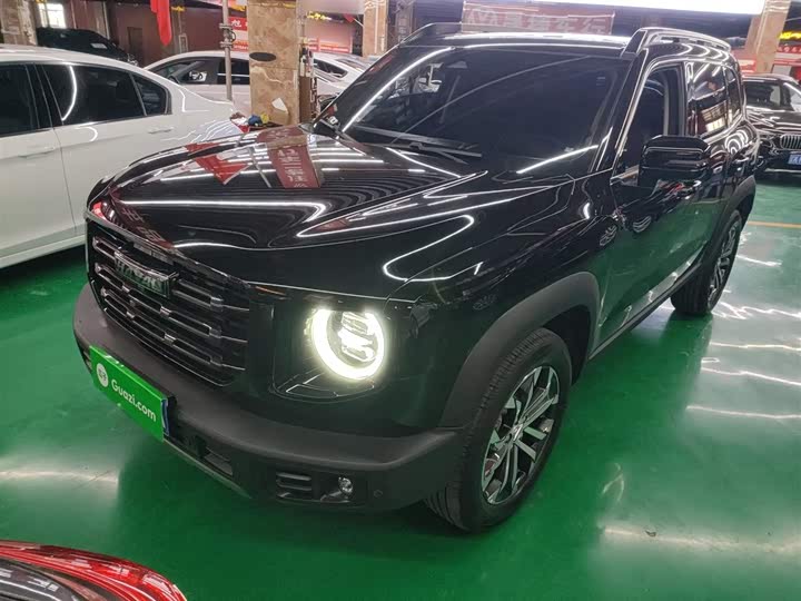 Фото 2 - Haval Dargo