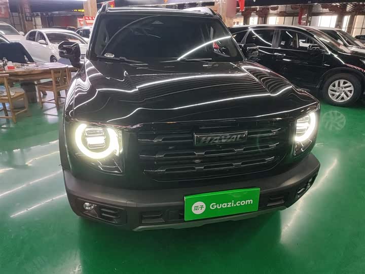 Фото 3 - Haval Dargo
