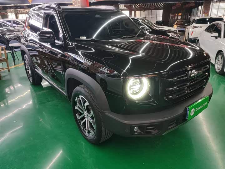 Фото 4 - Haval Dargo