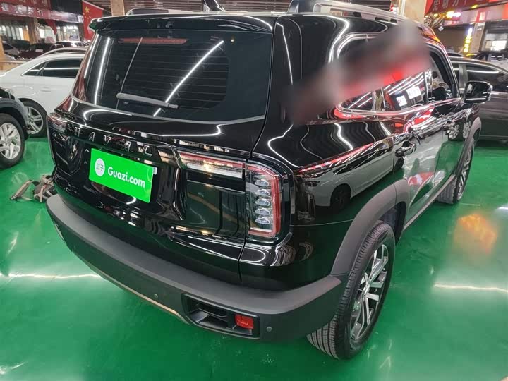 Фото 6 - Haval Dargo