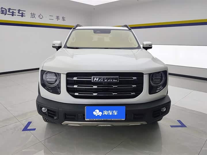 Фото 2 - Haval Dargo