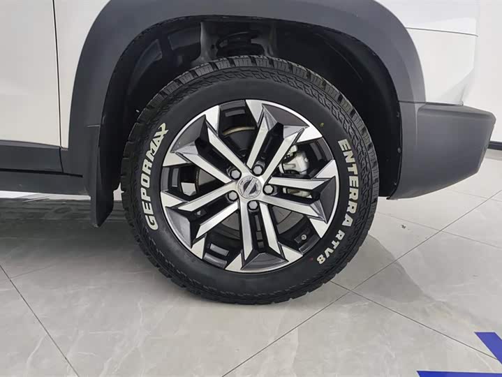 Фото 6 - Haval Dargo