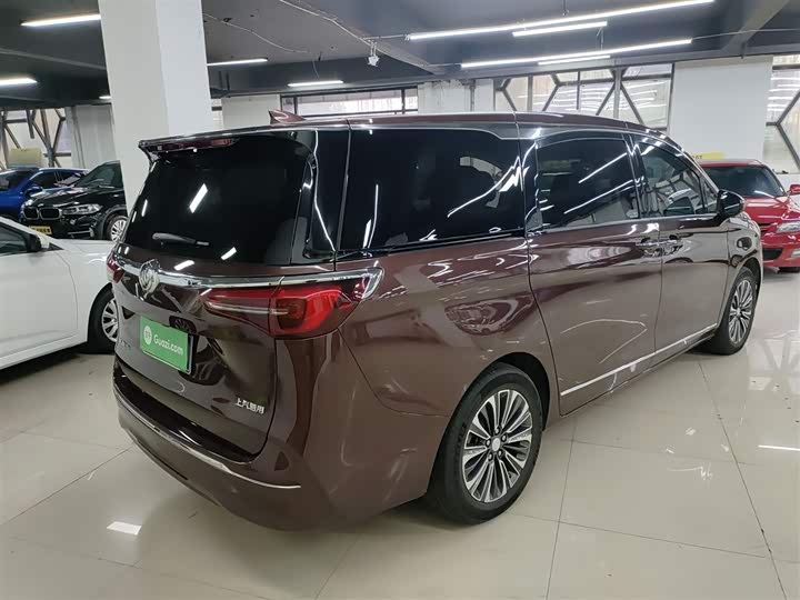 Фото 7 - Buick GL8 ES