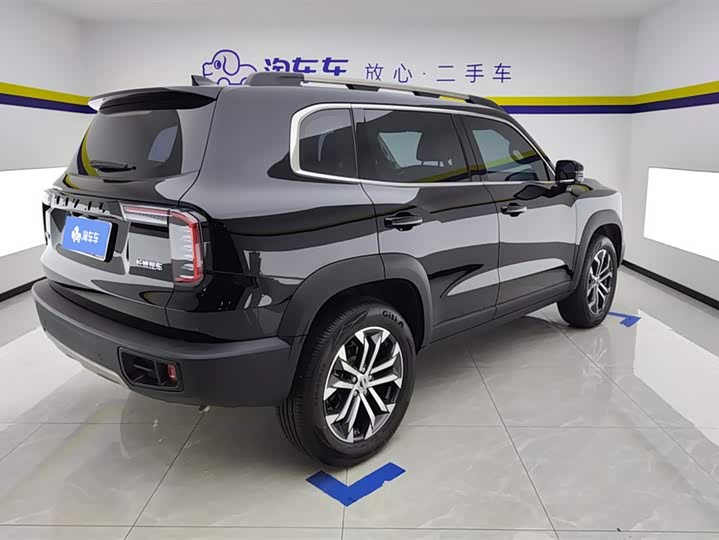 Фото 3 - Haval Dargo