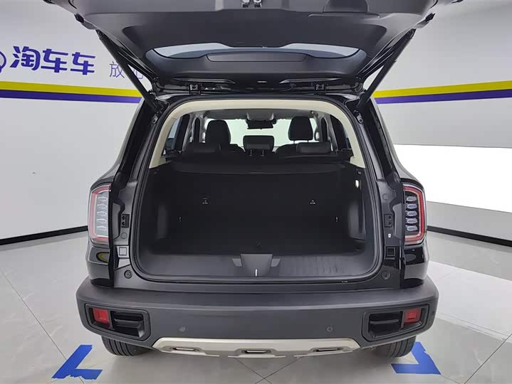 Фото 4 - Haval Dargo