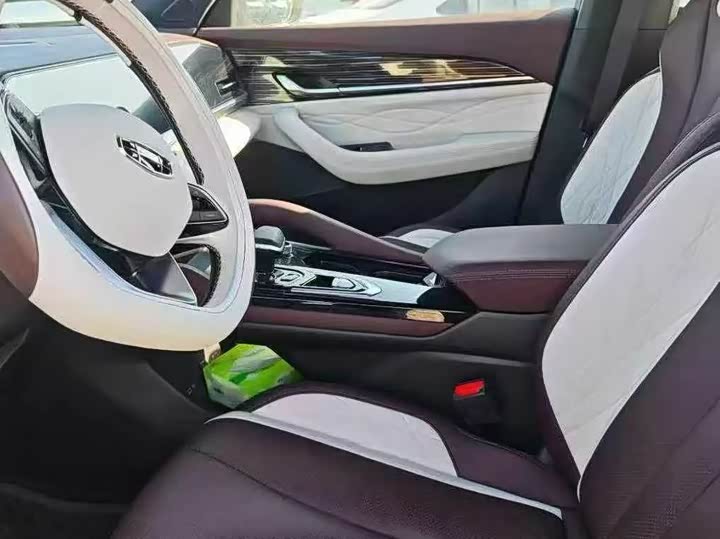 Фото 4 - Geely Monjaro