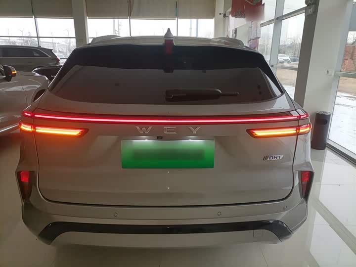 Фото 6 - Wey Mocca Hybrid