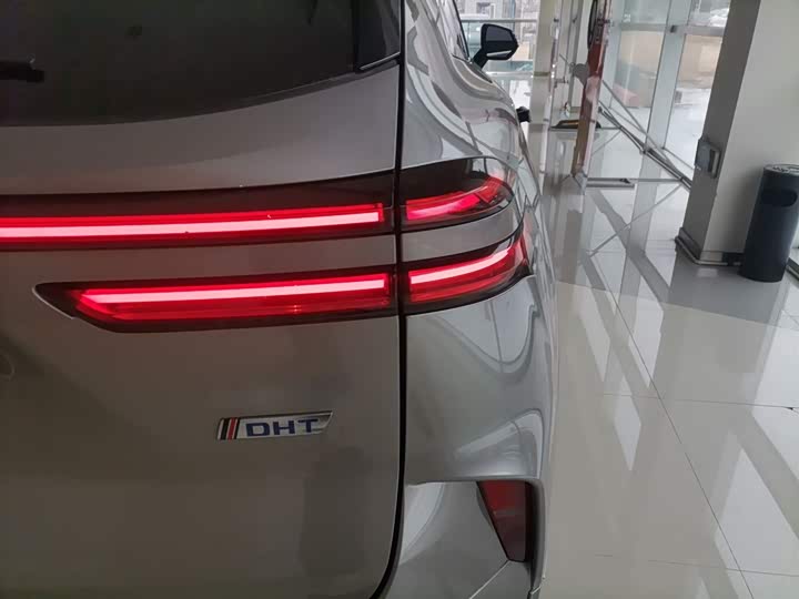 Фото 8 - Wey Mocca Hybrid