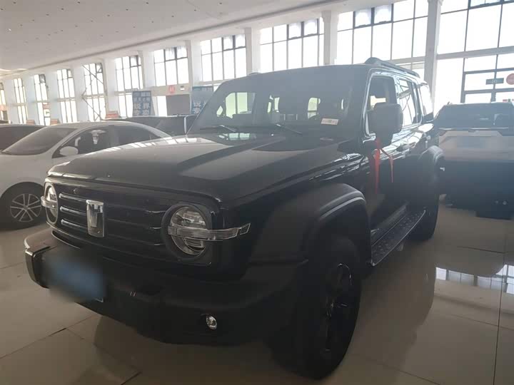 Фото 2 - Tank 300