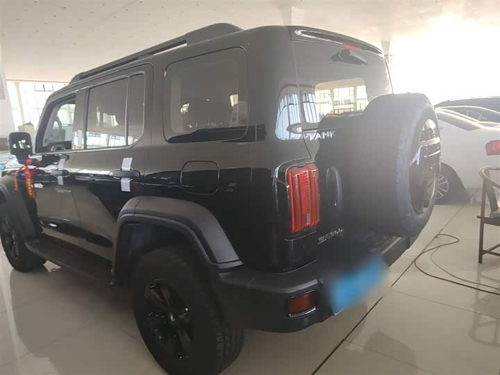 Фото 6 - Tank 300