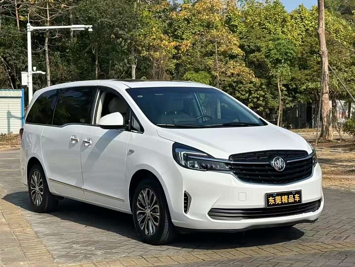 Фото 1 - Buick GL8 ES