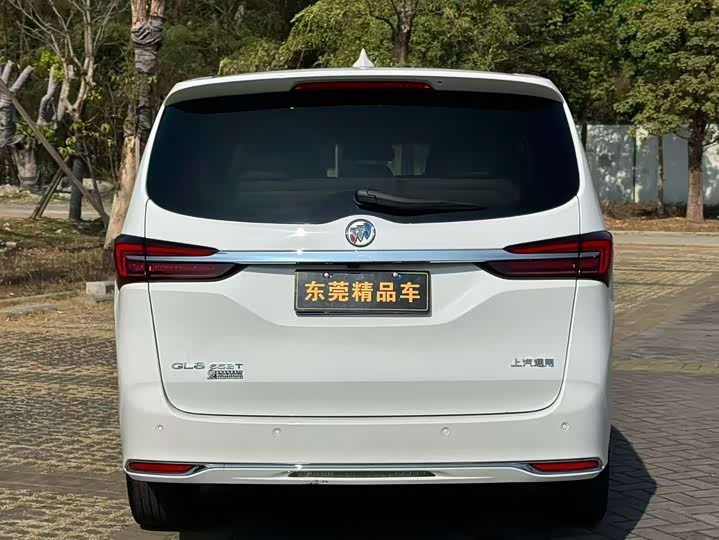 Фото 5 - Buick GL8 ES