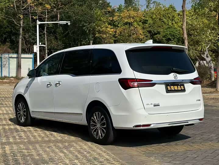 Фото 6 - Buick GL8 ES