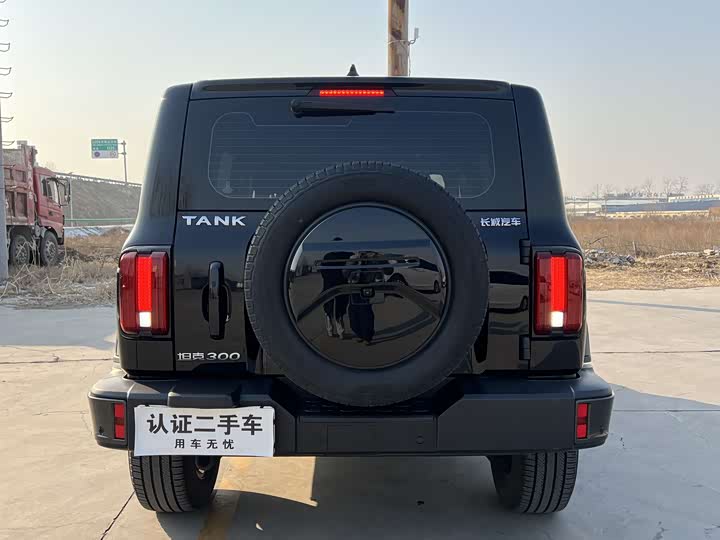 Фото 4 - Tank 300