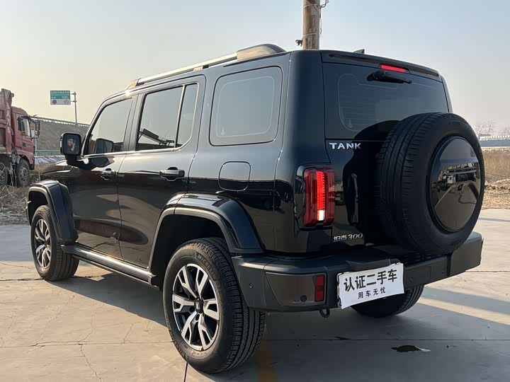 Фото 5 - Tank 300