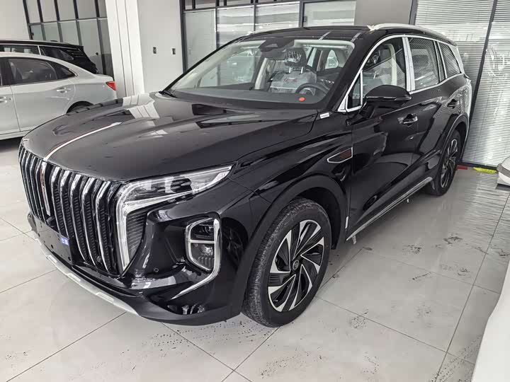 Фото 6 - Hongqi HS7 Hybrid