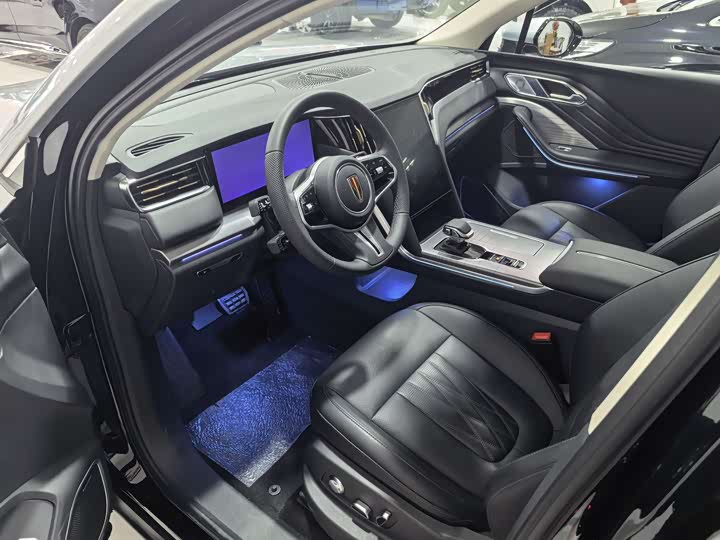 Фото 7 - Hongqi HS7 Hybrid