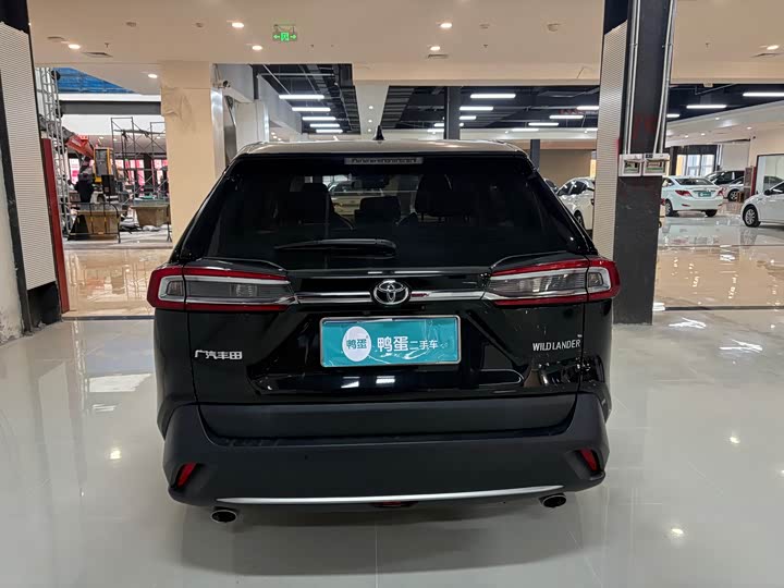 Фото 5 - Toyota Wildlander