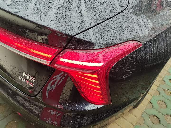 Фото 8 - Hongqi H5