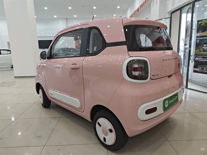 Фото 5 - Bestune Pony