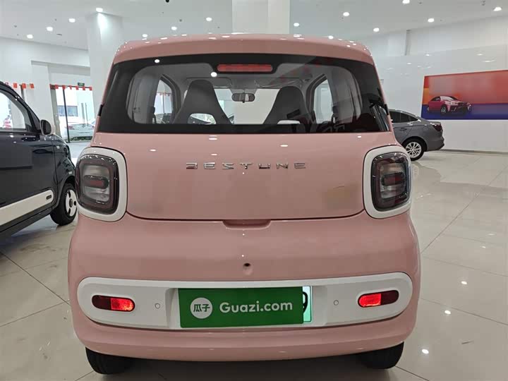 Фото 6 - Bestune Pony