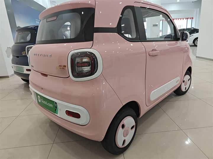 Фото 7 - Bestune Pony