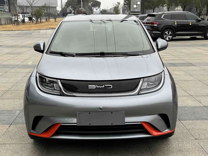 Фото 2 - BYD Dolphin