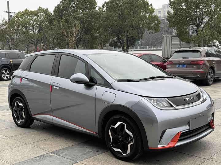 Фото 3 - BYD Dolphin